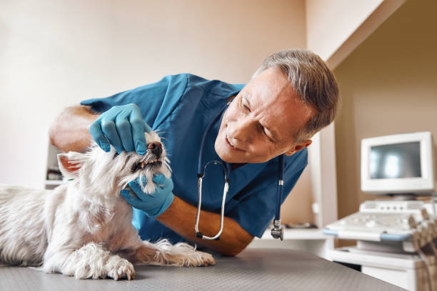 Best Same-Day Emergency Dental Services in West Perrine, FL